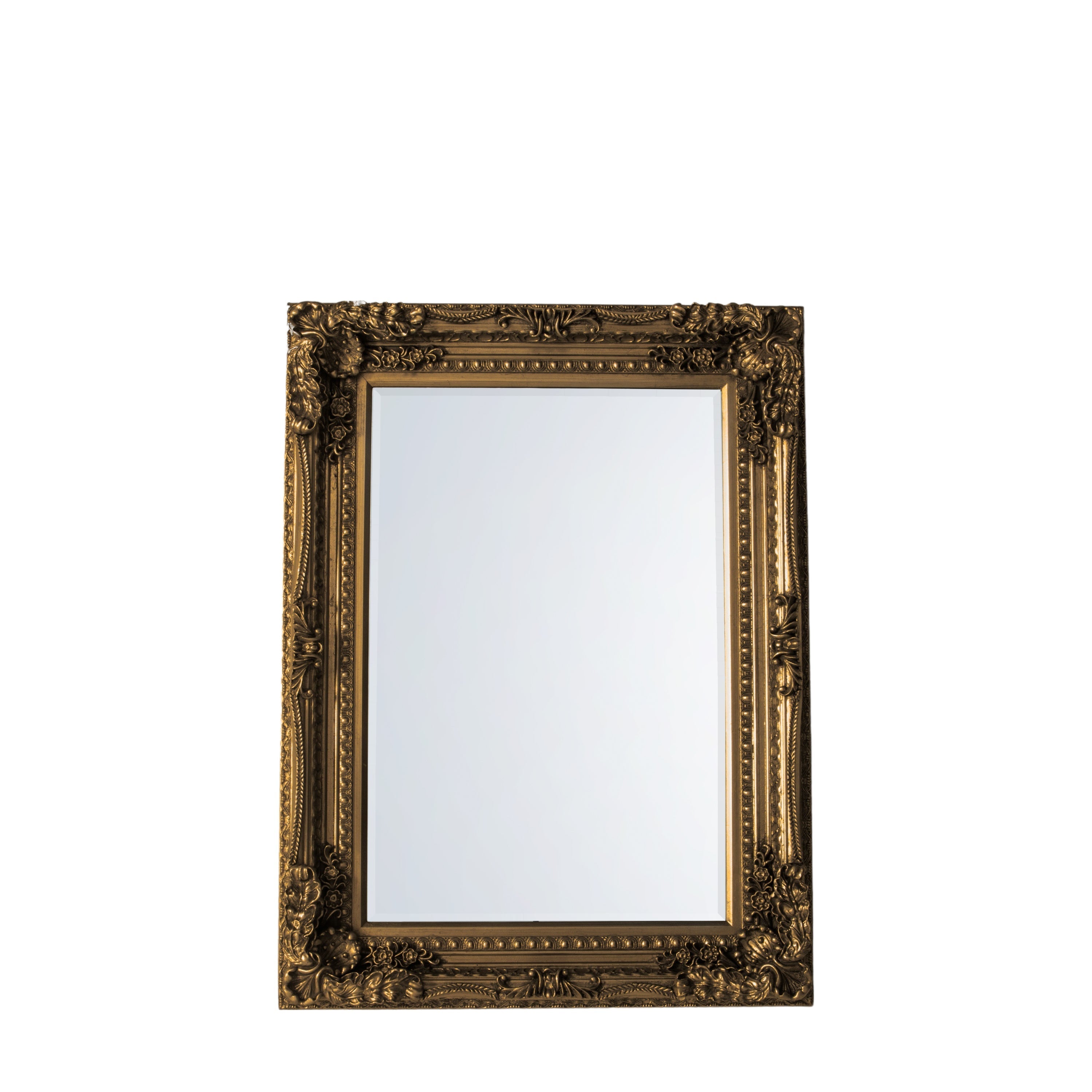 Carved Louis Mirror Gold 1190x890mm